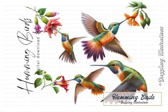 Download Beautiful Hummingbird and Flower Set - Premium Resources